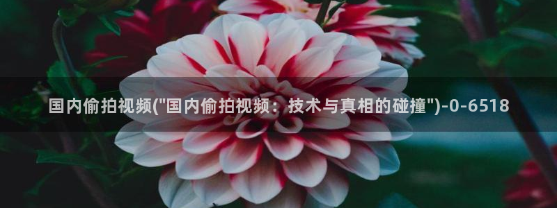 小说区图片区偷拍区