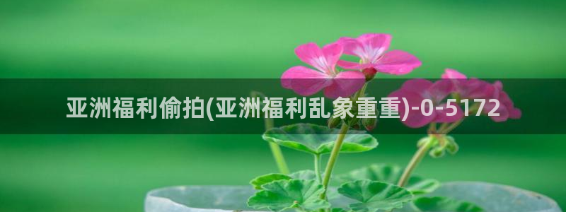 成人动漫偷拍自拍